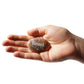 Hand holding a stone with 'Blessed' engraved on it against a white background