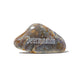 Decorative stone with 'Determination' engraved on a white background