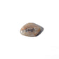Rock with 'Laugh' engraved on a white background