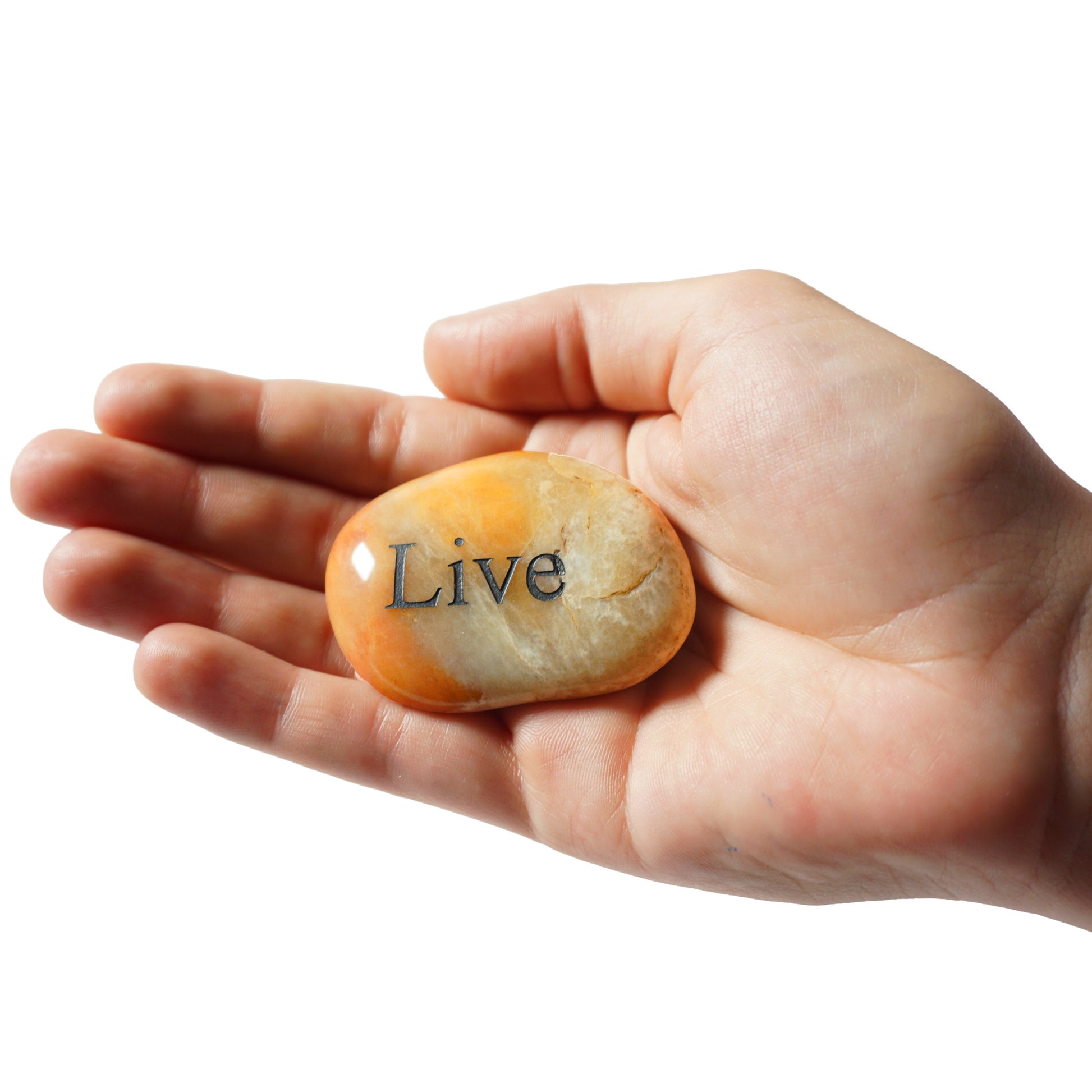 Hand holding a rock with 'Live' engraved on it against a white background